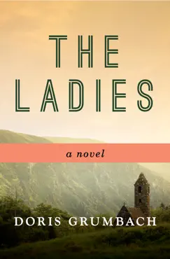 the ladies book cover image