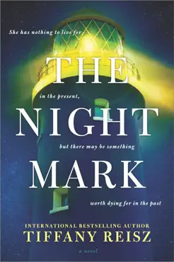 the night mark book cover image