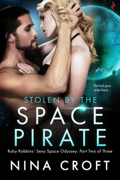 stolen by the space pirate book cover image