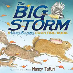 the big storm book cover image