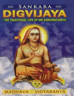sankara digvijaya book cover image