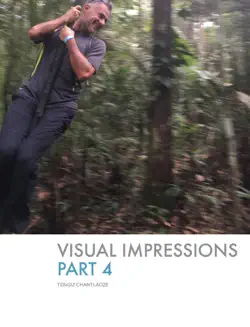 visual impressions - part 4 book cover image