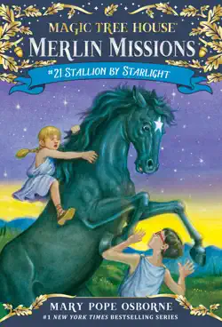 stallion by starlight book cover image