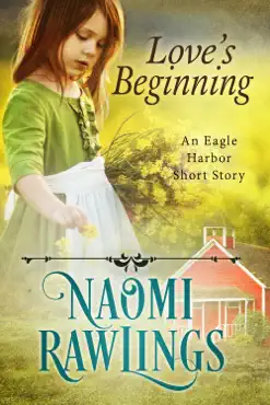 love's beginning book cover image