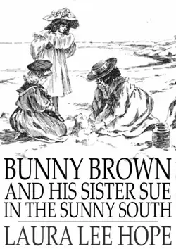 bunny brown and his sister sue in the sunny south book cover image