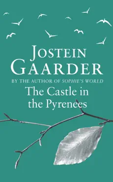 the castle in the pyrenees book cover image